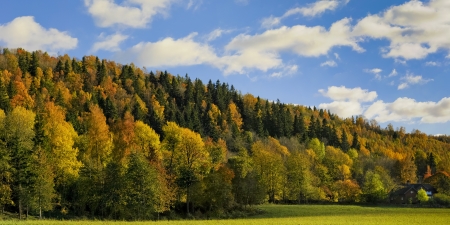 landscape,autumn in valley with cottage and blue skyの写真素材