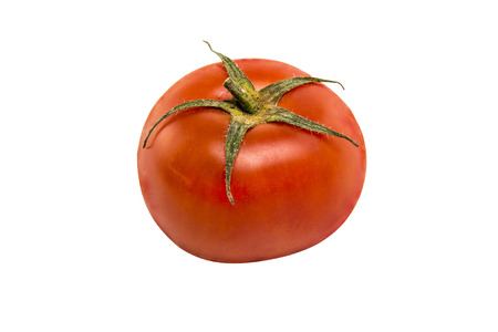 tomato on a white backgroundの写真素材