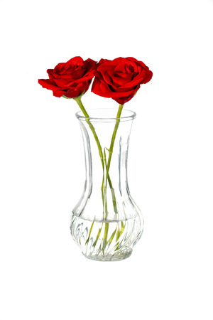 two red roses in a vase on a white backgroundの写真素材