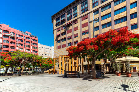 Beautiful view of a square in the city of Santa Cruz de Tenerife, Canary Islands, Spainの写真素材