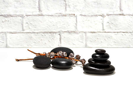 eucalyptus branches and black volcanic lava stones on a white backgroundの写真素材
