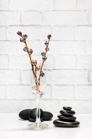 cup with eucalyptus branches and black volcanic lava stones on white backgroundの写真素材