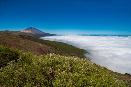 Teide National Park in Tenerife, Canary Islands, Spain with its pine forests and the sea of ââclouds on a sunny dayの写真素材