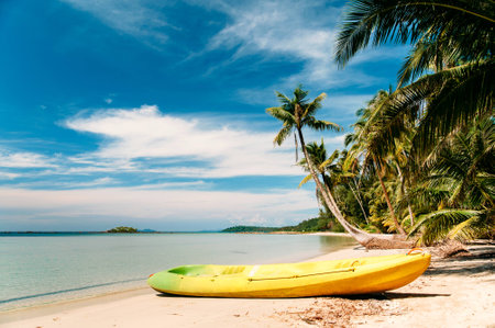 tropical beach with curved palm trees and yellow canoeの写真素材