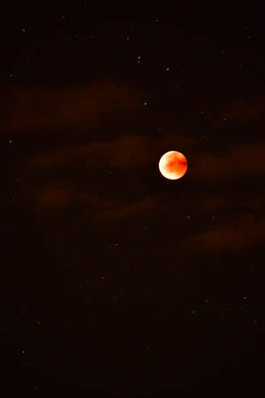 the red moon in the starry sky with mars