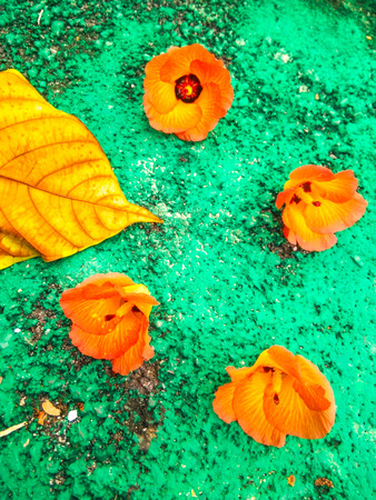 flowers and leaves on green background texture