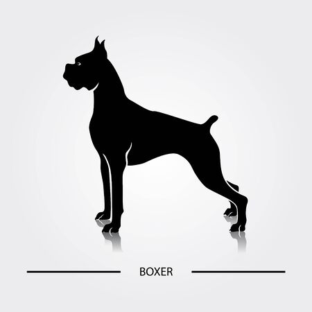 Boxer dog silhouette. Black silhouettes of breeds of dogs.のイラスト素材