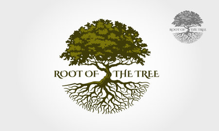 Root Of The Tree Vector Logo Template. The vector logo this beautiful tree is a symbol of life, beauty, growth, strength, and good health.のイラスト素材
