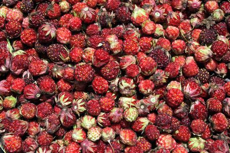 strawberriesの写真素材