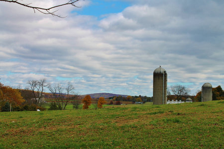 Farmlandの写真素材
