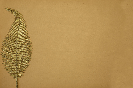golden feather left on a background of old vintage paper.の写真素材