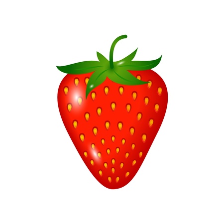 ripe strawberry isolated on whiteのイラスト素材