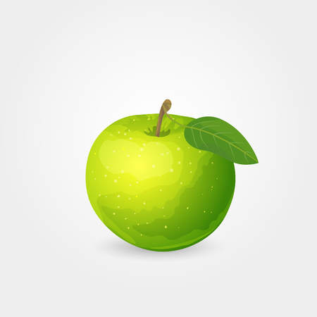 Illustration of one glossy ripe green apple with leafのイラスト素材