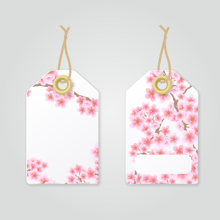 Elegant shopping tag. Illustration of two sides of label with pink sakura flowersのイラスト素材