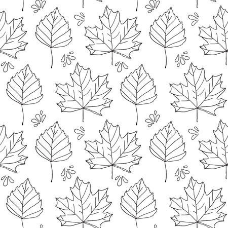 Leaves patternの写真素材