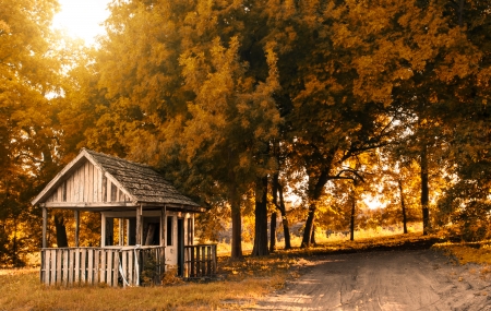 Autumn parkの写真素材