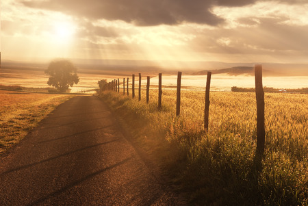 Country roadの写真素材