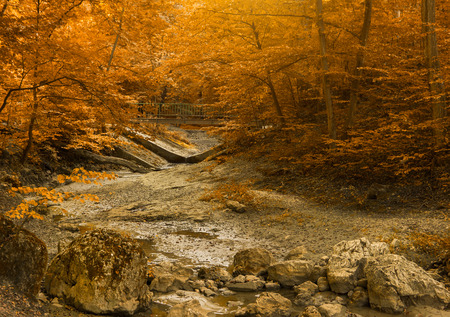 Autumn creekの写真素材