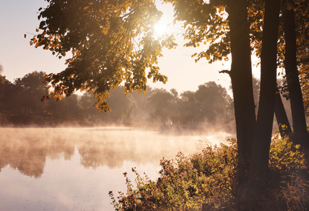 Autumn lakeの写真素材