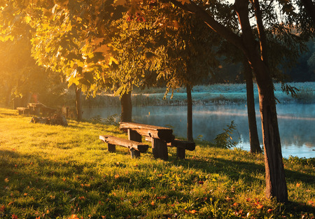 Autumn shoreの写真素材