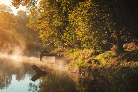 Autumn lakeの写真素材