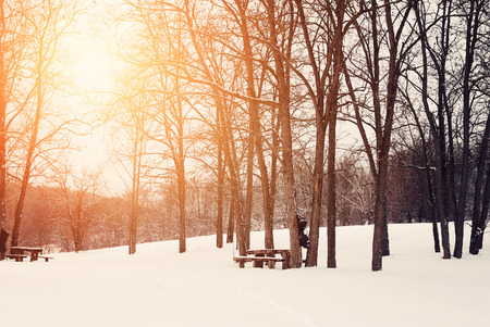 Winter parkの写真素材