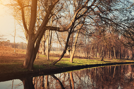 Lake in the parkの写真素材