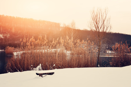 Winter parkの写真素材