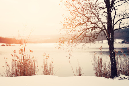 Winter parkの写真素材