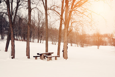 Winter parkの写真素材