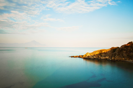 Tropicalの写真素材