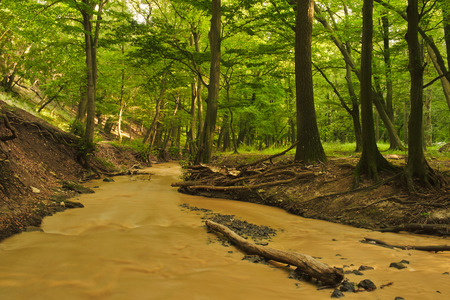 Creekの写真素材