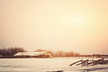 Winter farmの写真素材