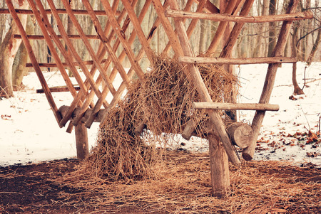 Feeding wildの写真素材