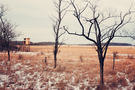 Huntersの写真素材