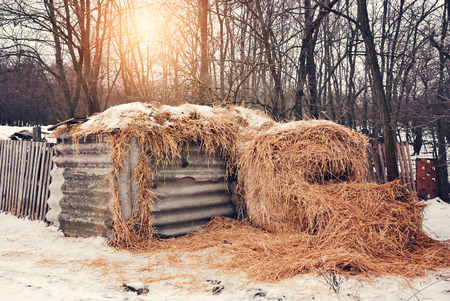 Strawの写真素材