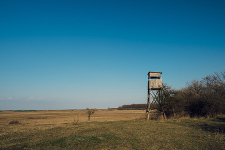 Hunter ambushの写真素材