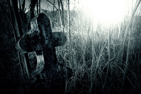 Graveyardの写真素材