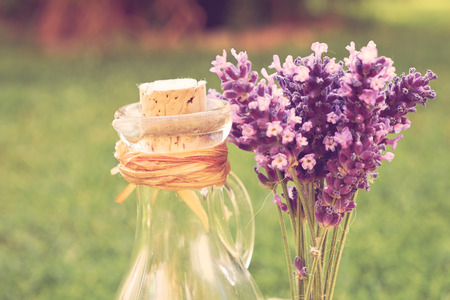 Lavender Spaの写真素材