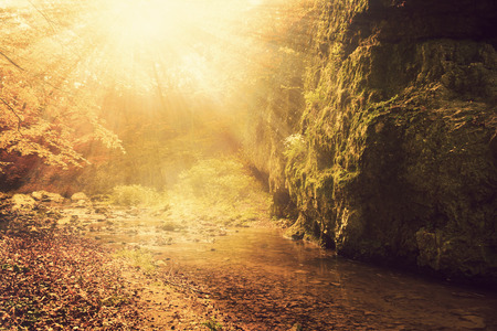 Creekの写真素材