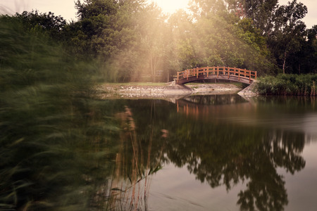 Bridge in the parkの写真素材