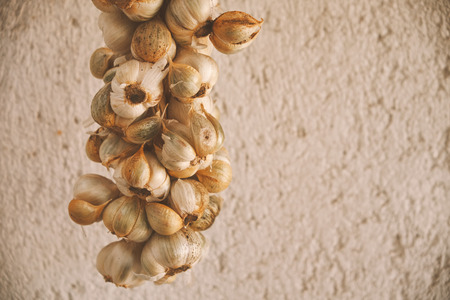 Garlicの写真素材