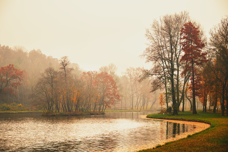 Autumn lake in the parkの写真素材