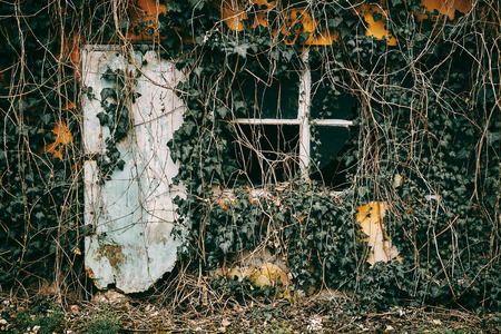 Delerict old buildingの写真素材