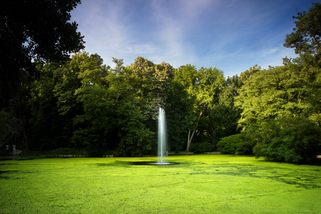 Park lakeの写真素材