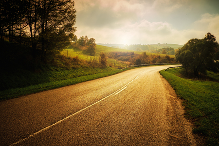 autumn roadの写真素材