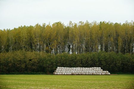 Bales on fieldの写真素材
