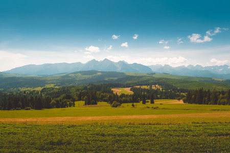 Panorama of Tatra Mountains in summer timeの写真素材