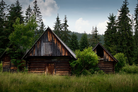 Old log cabin in the forestの写真素材