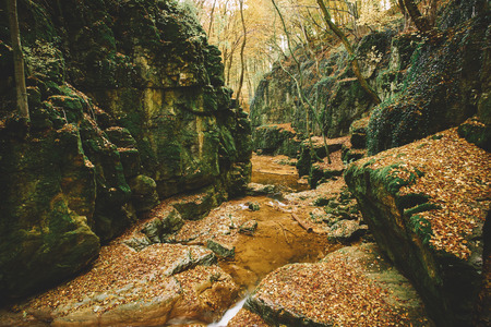 Stream in valleyの写真素材